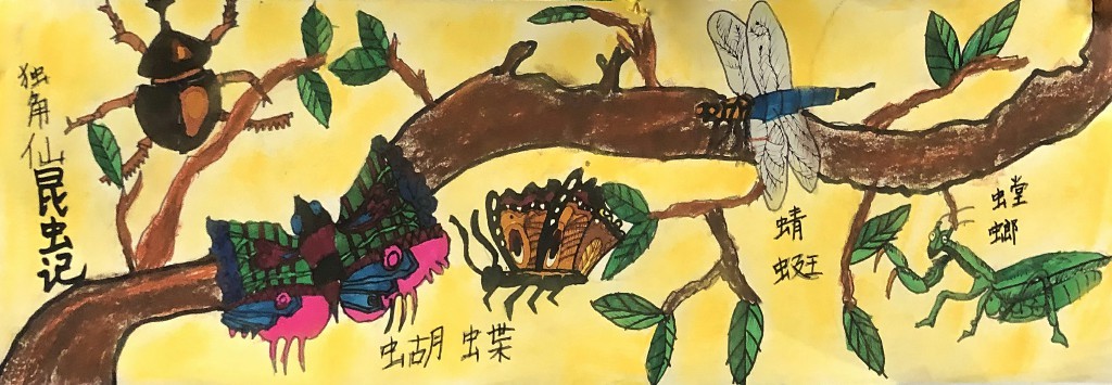 美术